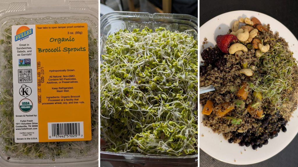 Organic hydroponically-grown broccoli sprouts