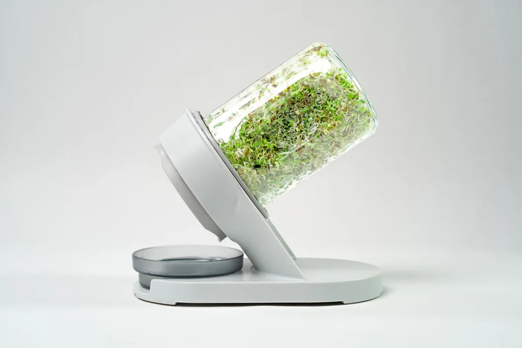 The Sprouting Company, among others, provide options for sprouting